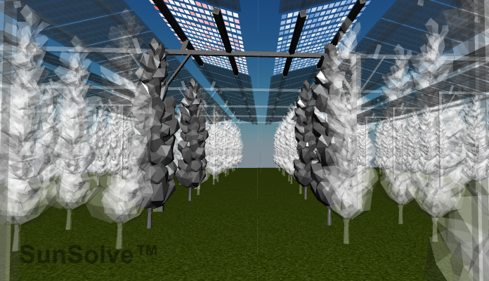 This post explores how to predict the bifacial gain of AgriPV systems, which can vary from 2% to 50% depending on system design and conditions. We describe SunSolve's ray-tracing method, PVsyst's industry-standard approach, and how they can be used together.