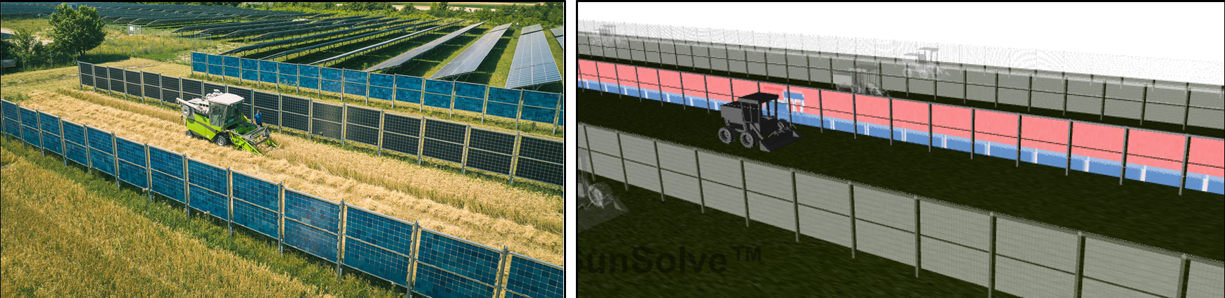 Figure 3: (a) Actual and (b) simulated view of a vertical bifacial AgriPV system.